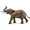 African Elephant, Male