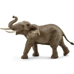 African Elephant, Male