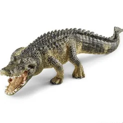 Alligator