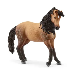 Andalusian Mare