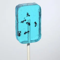 ANT-LIX Suckers Assorted Flavors