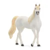 Arabian Mare
