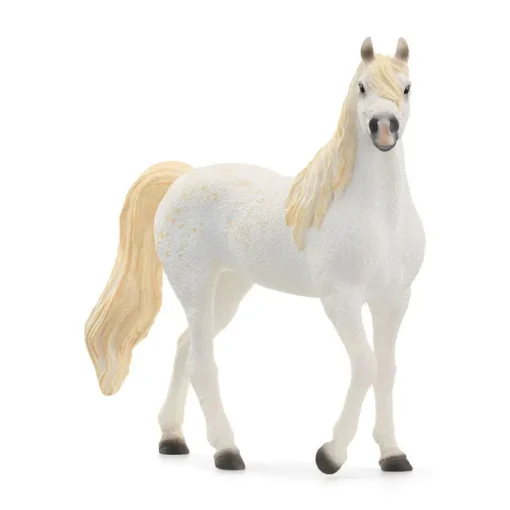 Arabian Mare