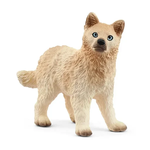 Arctic Wolf cub