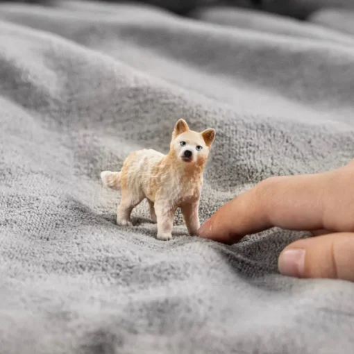 Arctic Wolf cub