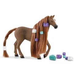 Beauty Horse English Thoroughbred Mare