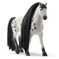 Beauty Horse Knabstrupper Stallion