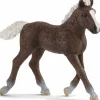 Black Forest Foal