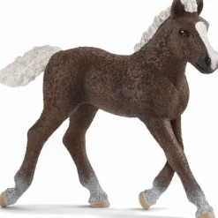 Black Forest Foal