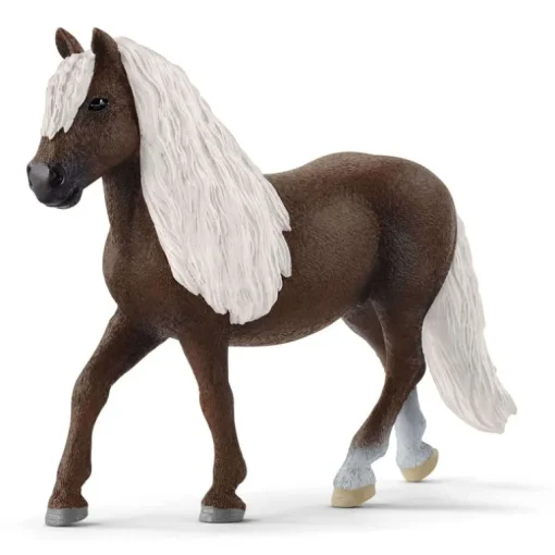 Black Forest Mare