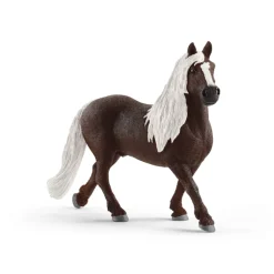 Black Forest Stallion