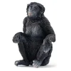 Bonobo Female