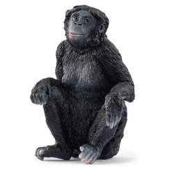 Bonobo Female