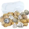 Break Your Own Geodes - Small 1" - 2"