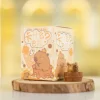Capybara Glow in the Dark Figurine Blind Box