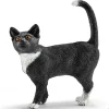 Cat, Standing