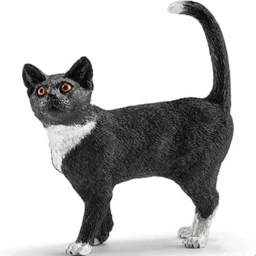 Cat, Standing