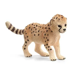 Cheetah Cub