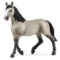 Cheval de Selle Francais Mare