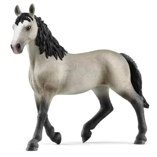 Cheval de Selle Francais Mare