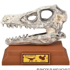 6.5" Dinosaur Skull Excavation Dig Kit Velociraptor