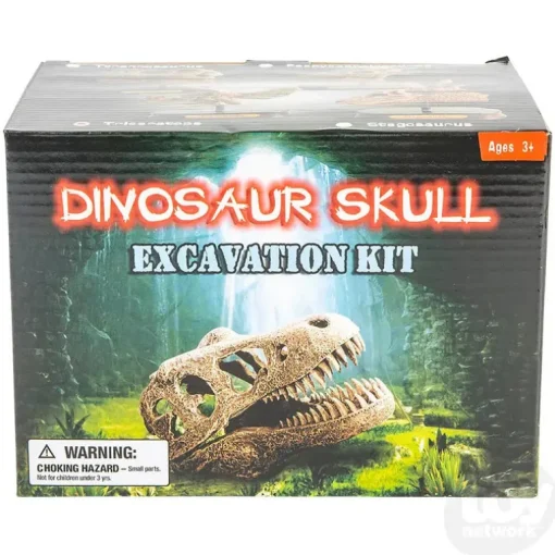 6.5" Dinosaur Skull Excavation Dig Kit Triceratops