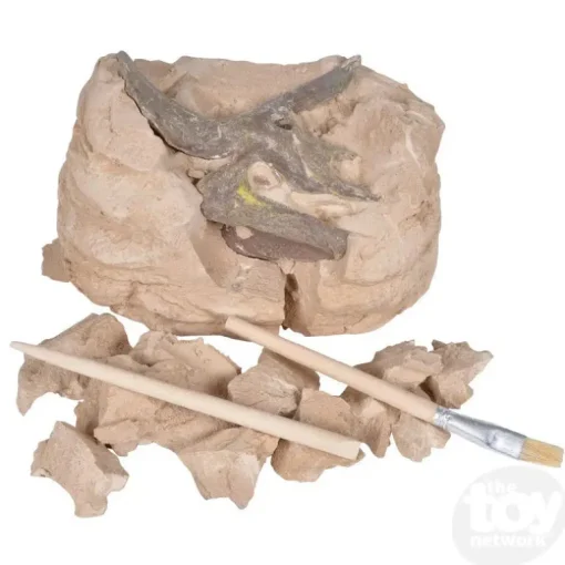 6.5" Dinosaur Skull Excavation Dig Kit Triceratops