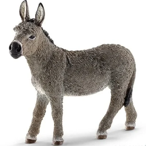 Donkey