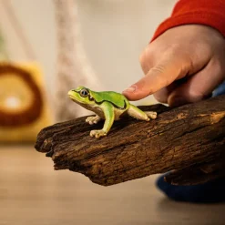 European Tree Frog