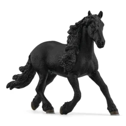 Friesian Stallion