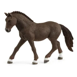German Riding Pony Gelding