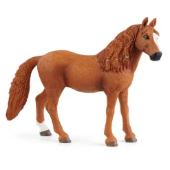 German Riding Pony Mare