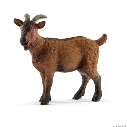 Goat