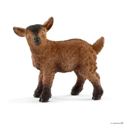 Goat Kid