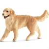Golden Retriever, Female