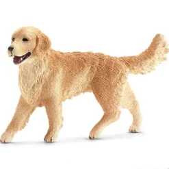 Golden Retriever, Female