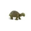 Good Luck Minis Tortoises