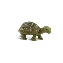 Good Luck Minis Tortoises
