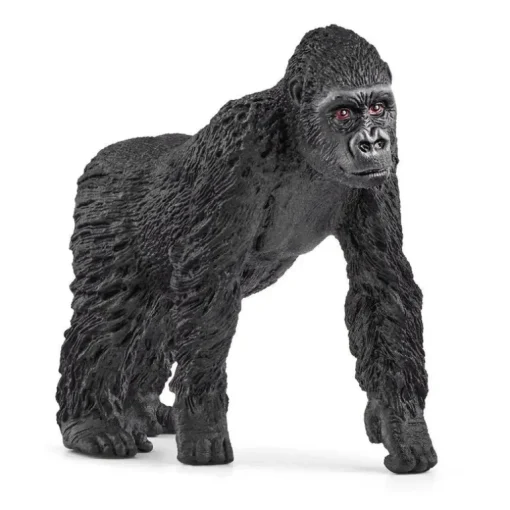 Gorilla Family