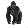 Gorilla, Male