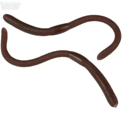 Gross Worms