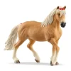 Haflinger Mare