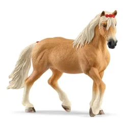 Haflinger Mare
