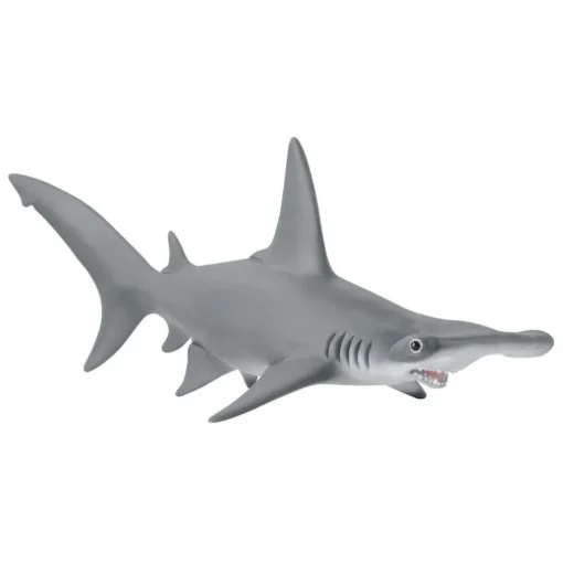 Hammerhead Shark