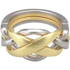 Hanayama Cast Puzzle - Ring - Level 4