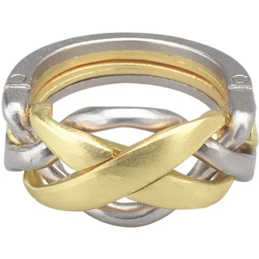 Hanayama Cast Puzzle - Ring - Level 4