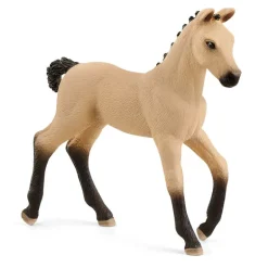 Hannoverian Foal, Red Dun