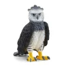 Harpy Eagle