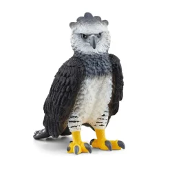 Harpy Eagle