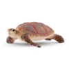 Hawskbill Sea Turtle